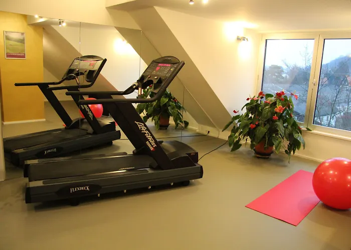 Hotel Restaurant Höldrichsmühle Hinterbrühl