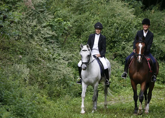 Restaurant Hoeldrichsmuehle 4*
